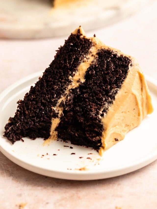 Chocolate-cake-with-peanut-butter-frosting-14-of-15