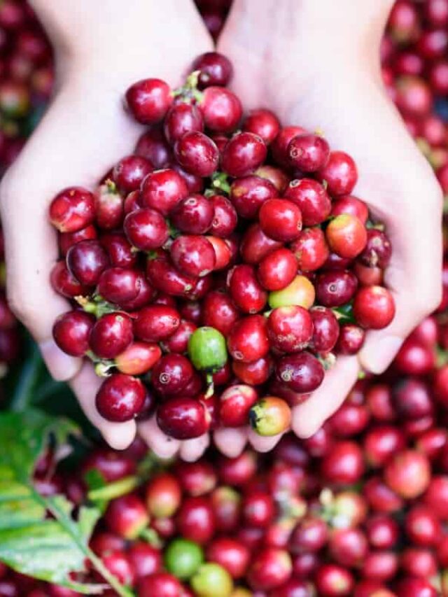 CoffeeFruitThumb