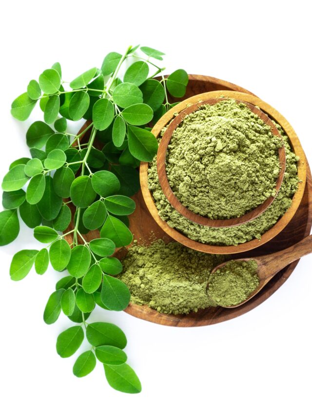 Moringa powder (Moringa Oleifera) in wooden bowl with original fresh Moringa leaves isolated on white background.