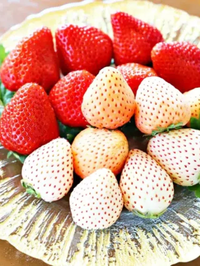 Strawberries_Top