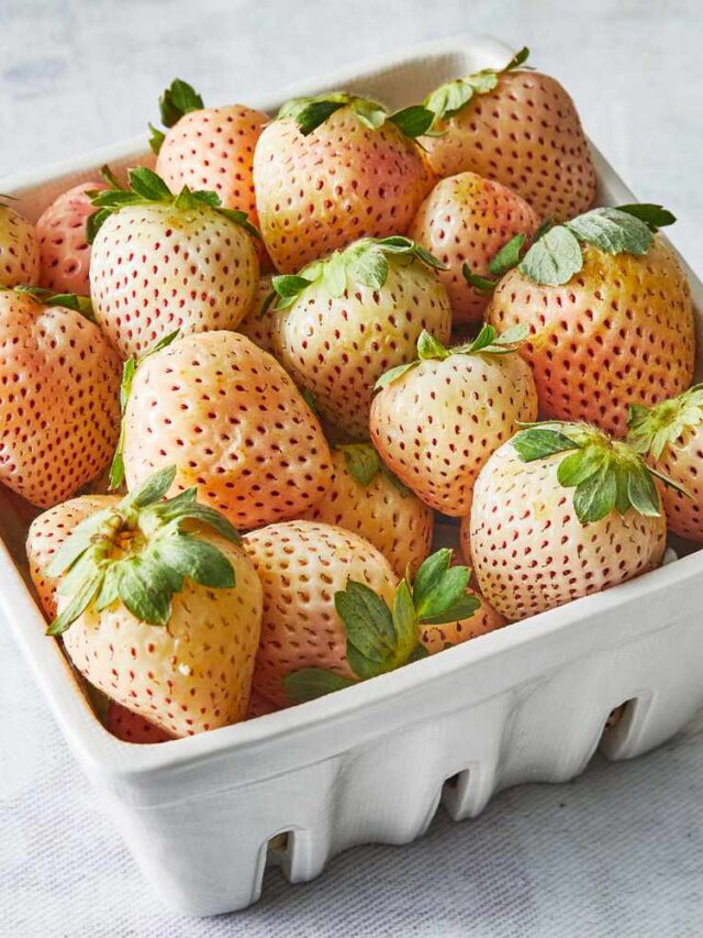 White_Strawberries_002-2c30d1637c784a28b5ee491086c46661