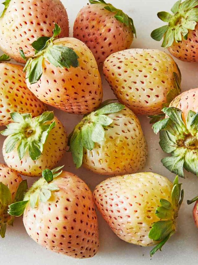 White_Strawberries_003-a9cf53bb046c4c38a24b4d0ad72f81d8