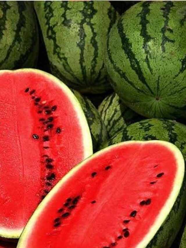 a-guide-to-growing-watermelons