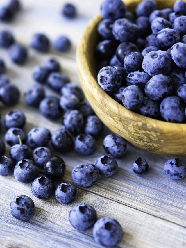blueberries-6824569_1280