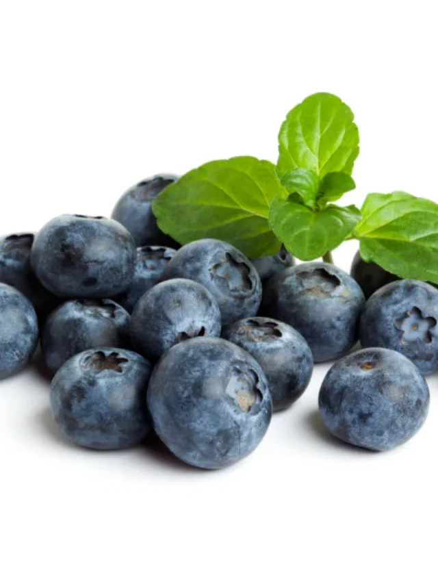 blueberries_blog