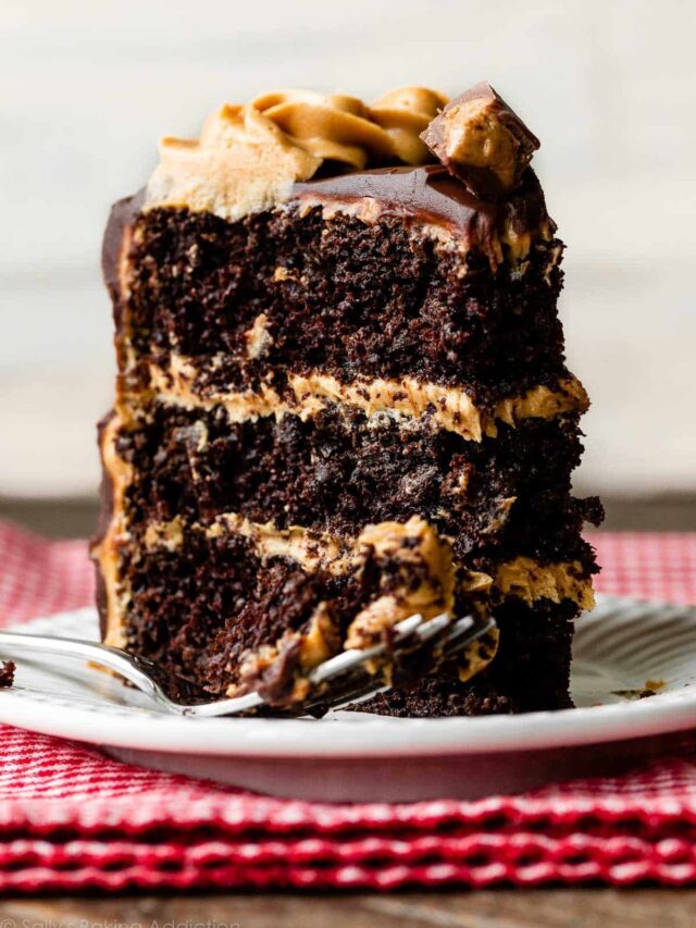 chocolate-peanut-butter-cake-slice-2