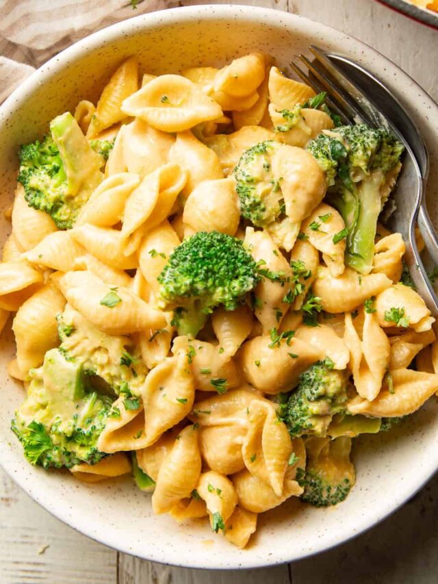 coconut-mac-sq