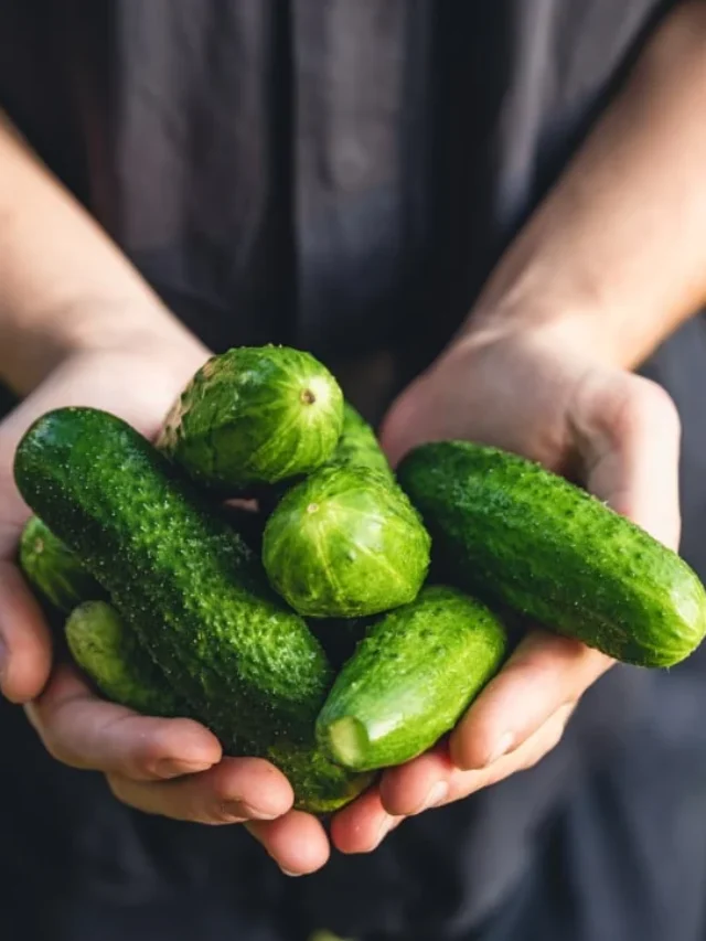 cucumber-benefits-scaled