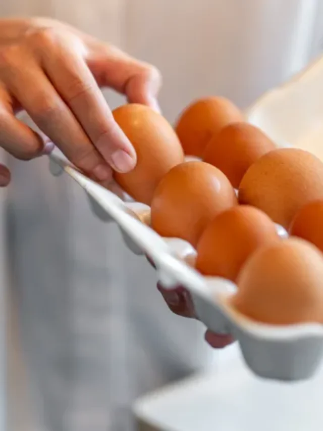 egg-carton-1