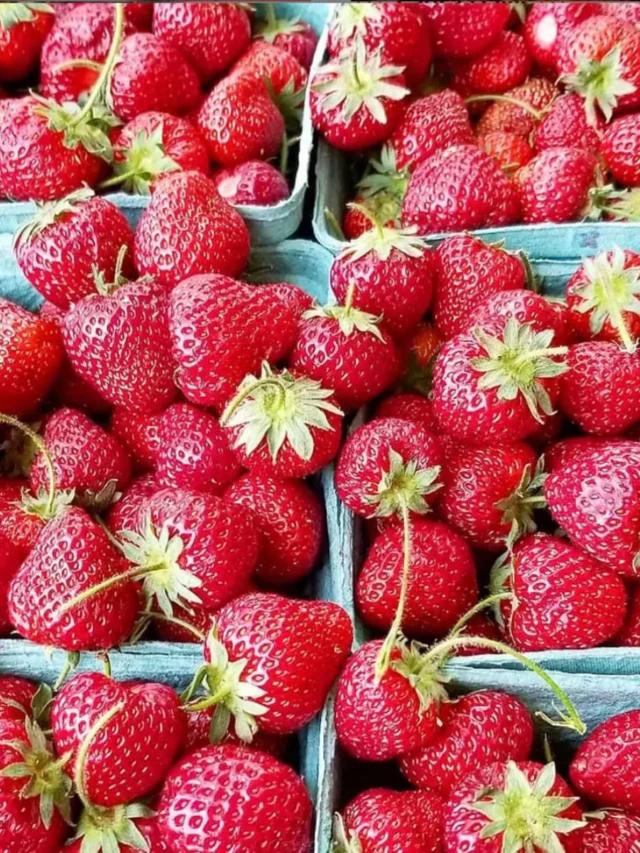 fresh-picked-strawberries-tide-and-thyme