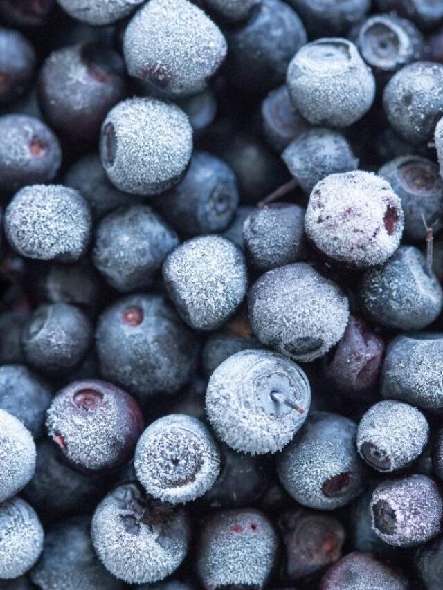 frozen-blueberries
