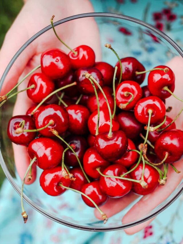 human-hand-and-bowl-with-red-fresh-cherries-2023-11-27-05-22-09-utc-scaled