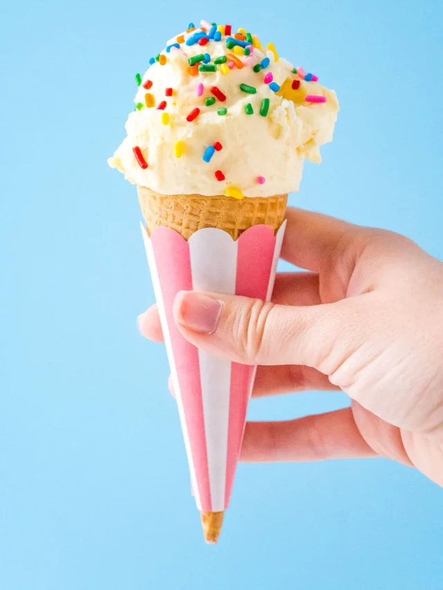 no-churn-vanilla-ice-cream-custard-recipe-1