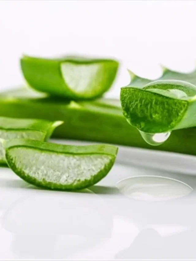 shutterstock_242698879