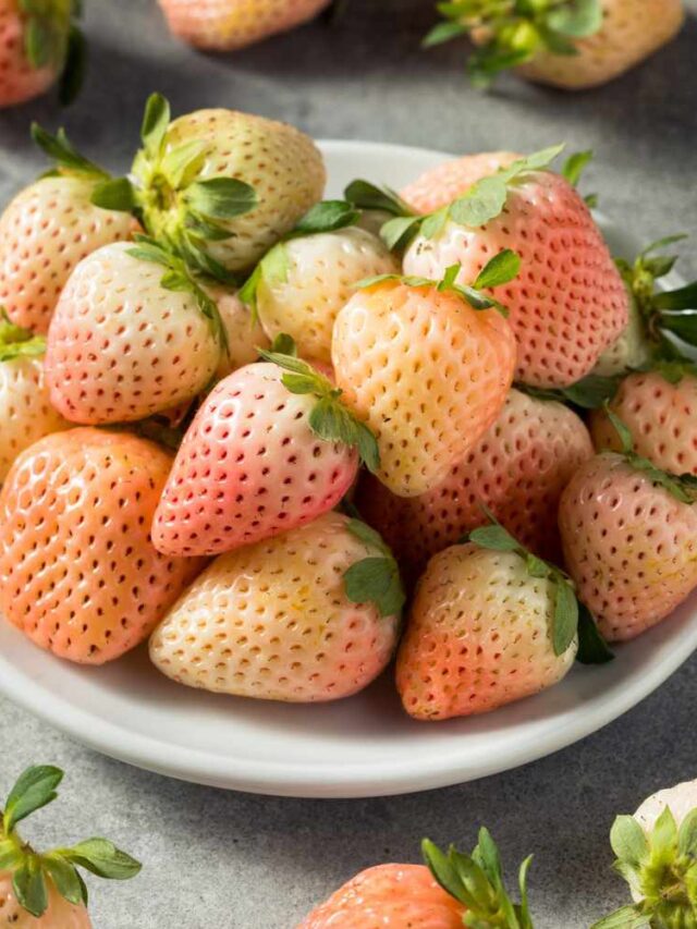what-are-pineberries-getty-0423-2000-2dfc99b1be3842b789255bdab436c52c