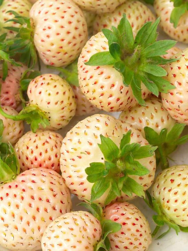 white-strawberries-white-bowl-2000-de081ffaa8f4447ea7a1bc7eab826dbc